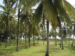 15898IMG_4446.JPG