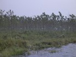 1313R0015106_small.jpg