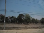 28133IMG_4953.JPG
