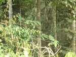 48305CIMG4642.JPG