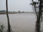 28349IMG_5215.JPG