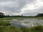 46066CIMG0355.JPG