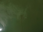 58247CIMG2694.JPG