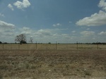 35724DSC02228.JPG