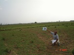 12891024b-irrigated-supplemental-rice-rainfall-dependent-tank-irrigation-2crops.gif