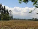 30229CIMG1763.JPG