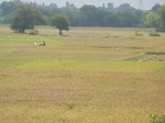 1686102052008(20).JPG
