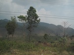 28314IMG_5128.JPG