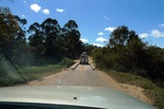 28410P1010421-1.JPG