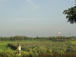 26107DSC01135.JPG