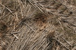 8399IMG_0525.JPG