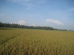 15956IMG_4507.JPG