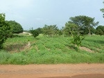 20846P1020706.JPG