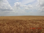 29433CIMG0692.JPG