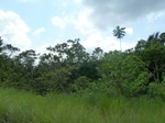 25752P1020170.JPG