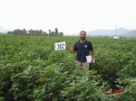 133660382b-rainfed-agriculture-cotton.gif