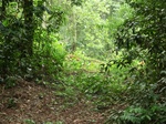 47237CIMG3574.JPG