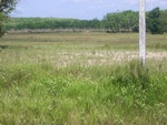 33711RIMG0329.JPG