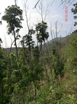 53479CIMG6816.JPG