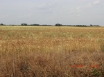 29456CIMG0741.JPG