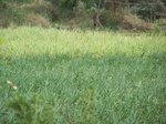 1693202052008(90).JPG