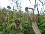 20014P1010864.JPG