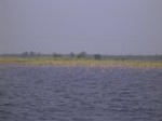 1505R0015202_small.jpg