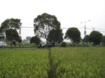 13562IMG_3813.JPG