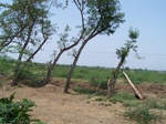 1765122042008(30).JPG