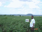 127400205b-rainfed-agriculture-cotton-dominant-gram.gif