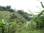 16407IMG_5192.JPG