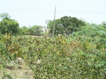 1765322042008(35).JPG