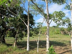 31977IMG_5625.JPG
