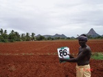 6390086c-irrigated-supplemental-minor-tubewell-maize-vegetables.jpg