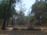 43408R0012590.JPG
