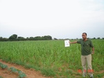 12364004b-irrigation(groundwater)-cotton-sorgum-rice-fruits-grasses.gif