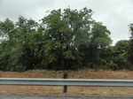 35779DSC02540.JPG