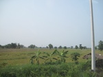 28323IMG_5153.JPG