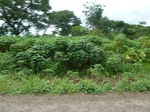 21004P1020874.JPG