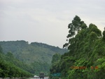 34733CIMG2561.JPG