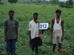 127630212c-rainfed-agriculture-mixedcrop-soyabean-dominant-gram.gif