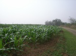 150Picture 124.jpg