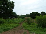 18365P1000201.JPG