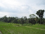 16332IMG_5109.JPG