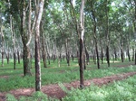 13960IMG_4254.JPG