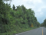 33545IMG_5813.JPG