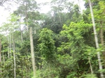 47596CIMG3933.JPG