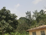 49277CIMG5614.JPG