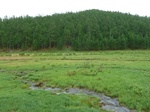 23819P1040902.JPG