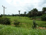 18792P1000630.JPG